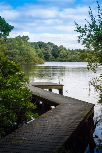 Bolam Lake, Northumberland - 